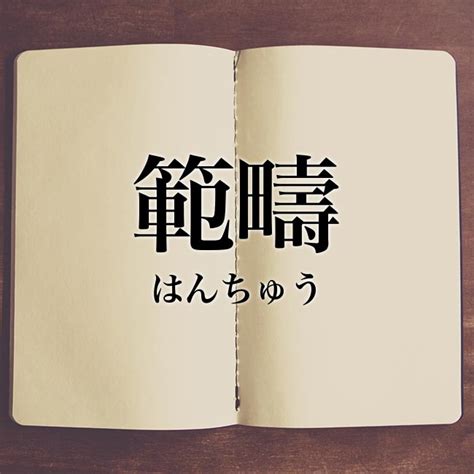 範疇先生|「範疇」の意味や使い方は？例文や類語を現役塾講師がわかりや。